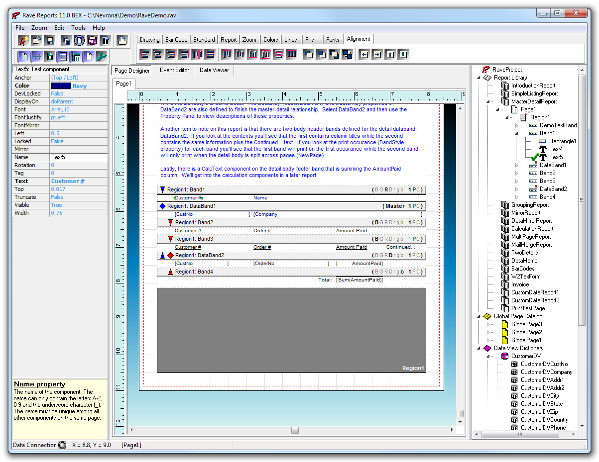 Rave Reports Flexible and Powerful Reporting Component Suite for